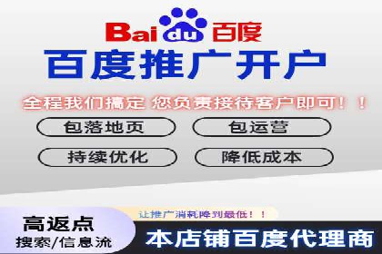 竞价排名的投放策略与效果评估案例